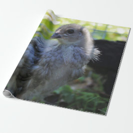 Bluebell ラッピングペーパー