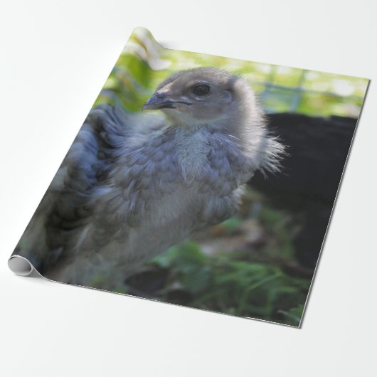 Bluebell ラッピングペーパー (アンロールド)