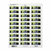 Bluebell ラベル (フルシート)