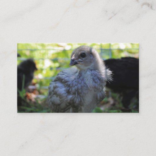 Bluebell 名刺 (正面)