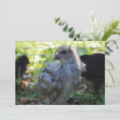 Bluebell 招待状 (スタンド正面)