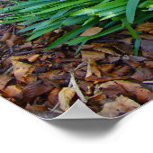 BLUEBELL WOOD ～ポスター# 10 ポスター (角)