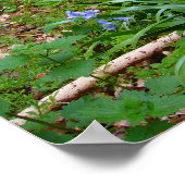 BLUEBELL WOOD ～ポスター# 8 ポスター (角)