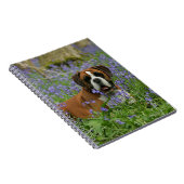 Bluebellsで置いているボクサー ノートブック (右側)