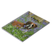 Bluebellsで置いているボクサー ノートブック (左側)