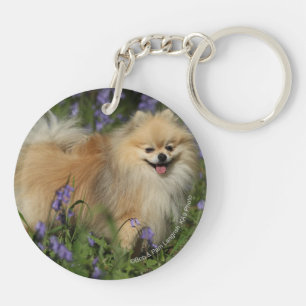 Bluebellsのカメラを見るポメラニア犬 キーホルダー