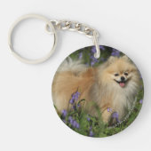 Bluebellsのカメラを見るポメラニア犬 キーホルダー (正面)