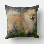 Bluebellsのカメラを見るポメラニア犬 クッション (裏面)