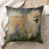 Bluebellsのカメラを見るポメラニア犬 クッション (ブランケット)