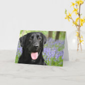 Bluebellsの挨拶状で後をつけて下さい カード (黄色い花)