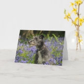 Bluebellsの挨拶状のラーチャー カード (黄色い花)