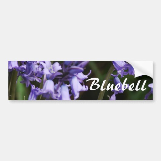 Bluebellsの花の自然の花の青い花 バンパーステッカー (正面)