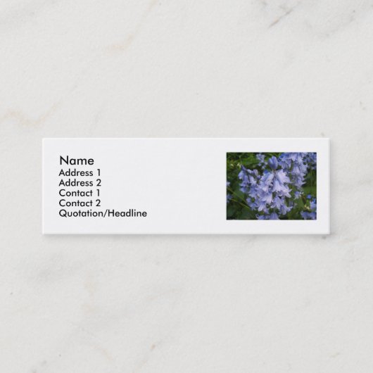 Bluebells スキニー名刺 (正面)