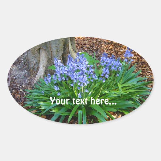 BLUEBELS ～オーバルステッカー 楕円形シール (正面)