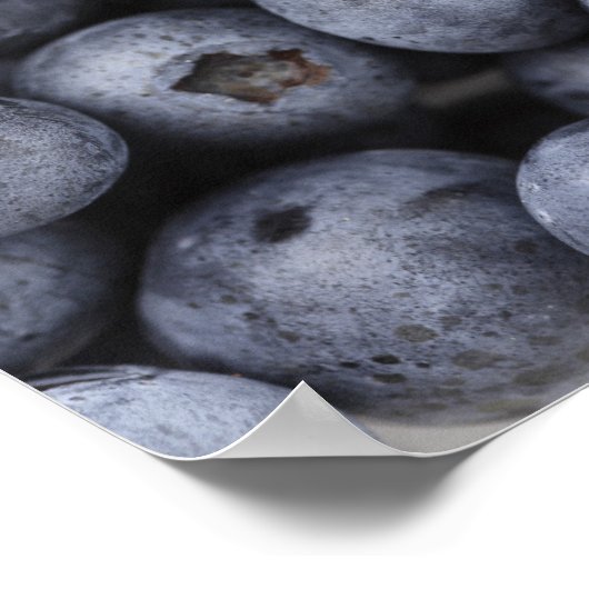 Blueberries ポスター (角)
