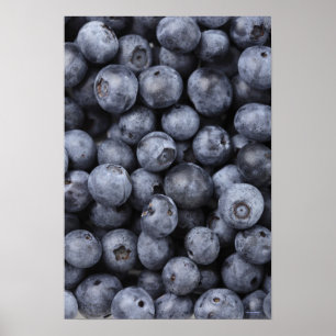 Blueberries ポスター