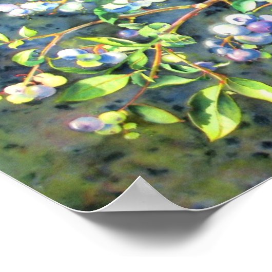 Blueberries, romantic fruit Watercolor painting ポスター (角)