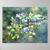 Blueberries, romantic fruit Watercolor painting ポスター (正面)