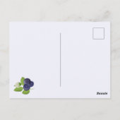 Blueberries Watercolor Blueberry Blossoms Foliage ポストカード (裏面)