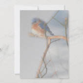 Bluebirdかわいらし自然パーティー 招待状 (裏面)