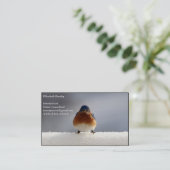 Bluebirdはっきりした名刺 名刺 (スタンド正面)