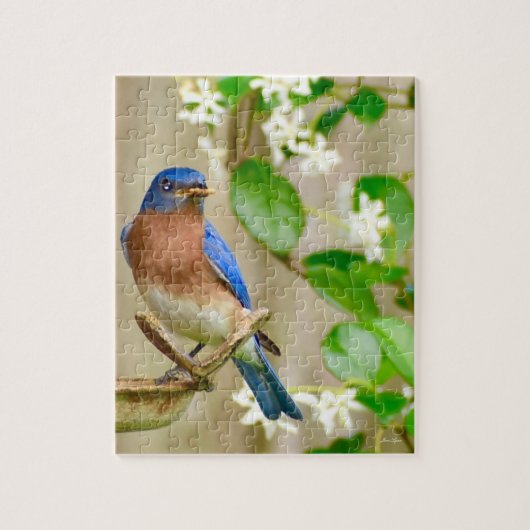 Bluebirdパズル"初期の鳥はワームを取得" ジグソーパズル (縦)