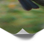 Bluebirdポス誇りを持ったター ポスター (角)