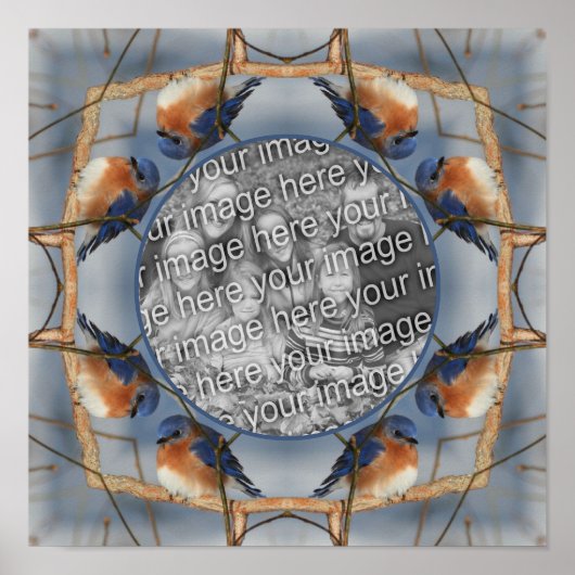 Bluebird自然フレーム独自の写真を作成 ポスター (正面)