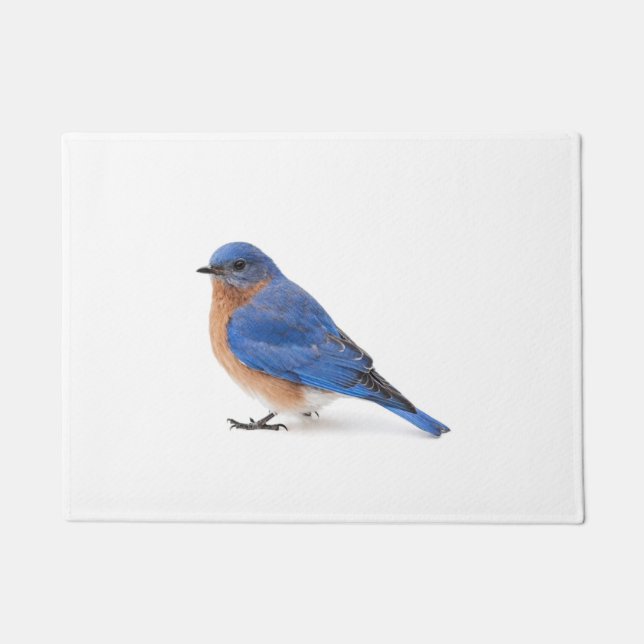 Bluebird ドアマット (正面)
