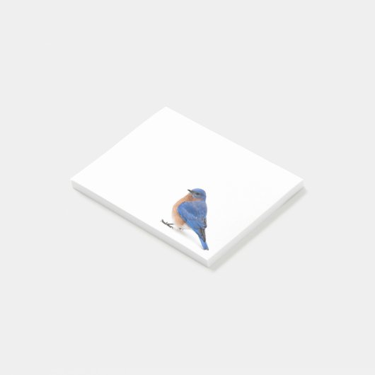 Bluebird ポストイット (アングル)