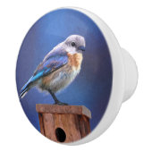 Bluebird (メス) 絵画 - Bird Artオリジナル セラミックノブ (右)