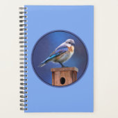 Bluebird （メス） 絵画 - Bird Artオリジナル プランナー手帳 (正面)