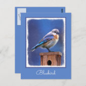 Bluebird （メス） 絵画 - Bird Artオリジナル ポストカード (正面/裏面)
