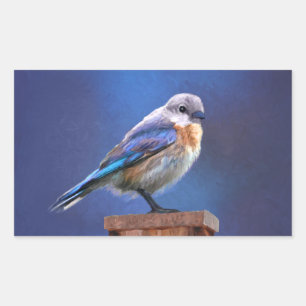 Bluebird (メス) 絵画 - Bird Artオリジナル 長方形シール