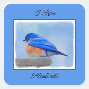 Bluebird 絵画's - Bird Artオリジナル スクエアシール