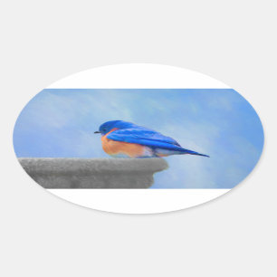 Bluebird 絵画's - Bird Artオリジナル 楕円形シール