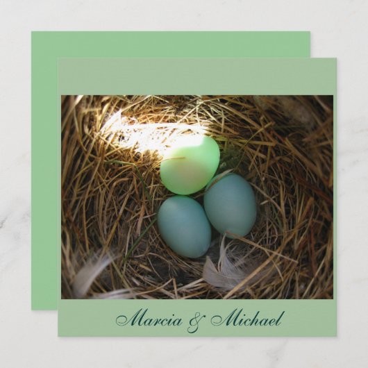 Bluebird Eggsの3倍 (正面/裏面)