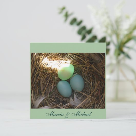 Bluebird Eggsの3倍 (スタンド正面)