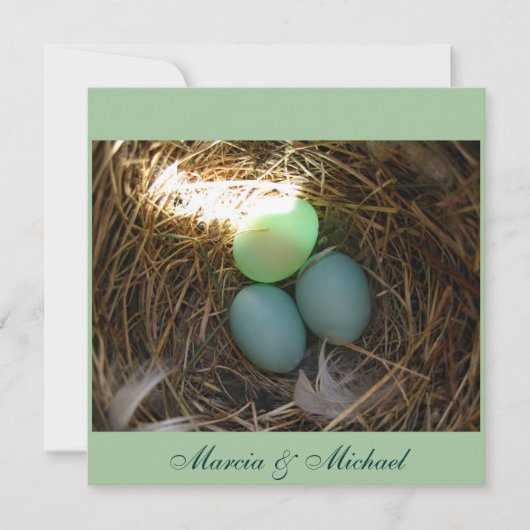 Bluebird Eggsの3倍 (正面)