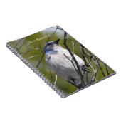 Bluebird in Tree (my photography) ノートブック (右側)