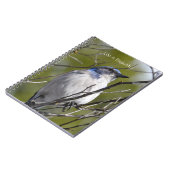 Bluebird in Tree (my photography) ノートブック (左側)