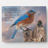 BLUEBIRD - Matthew 6:26 フォトプラーク (正面)