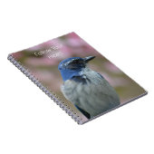 Bluebird (my photography) ノートブック (右側)