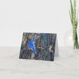 Bluebird of Happinessグリーティングカード カード