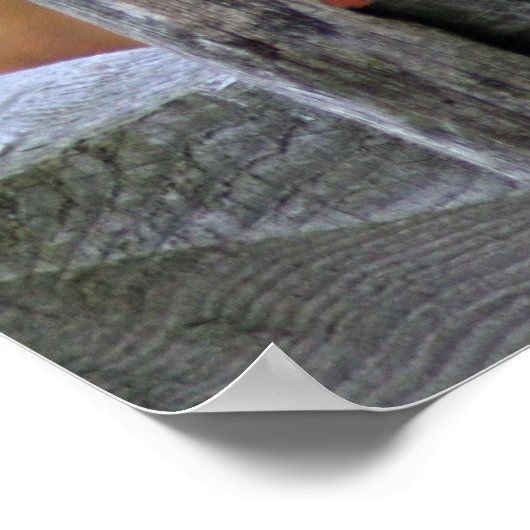 Bluebird of Happiness – ポスター (角)