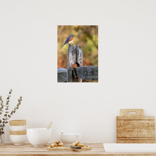 Bluebird of Happiness – ポスター (キッチン)