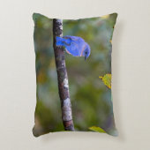 BlueBird on装飾用クッション アクセントクッション (正面(垂直))