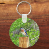 Bluebird on a fence Post キーホルダー (正面)