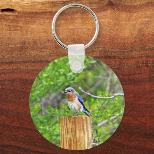 Bluebird on a fence Post キーホルダー (正面)