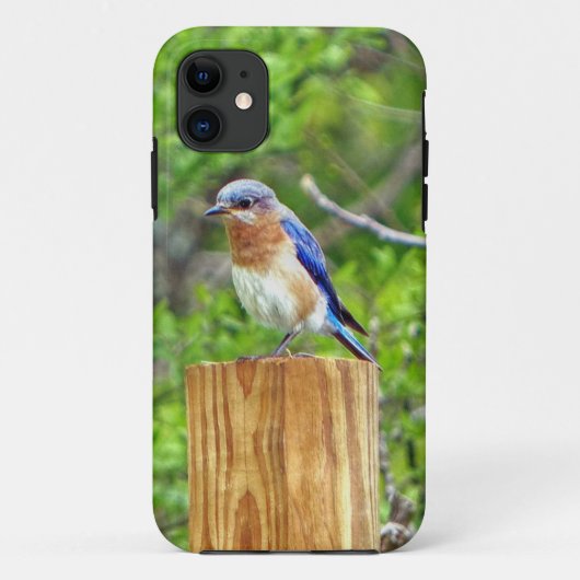 Bluebird on a fence Post Case-Mate iPhoneケース (裏面)